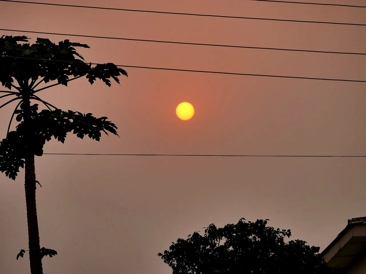 20220224_074714.jpg