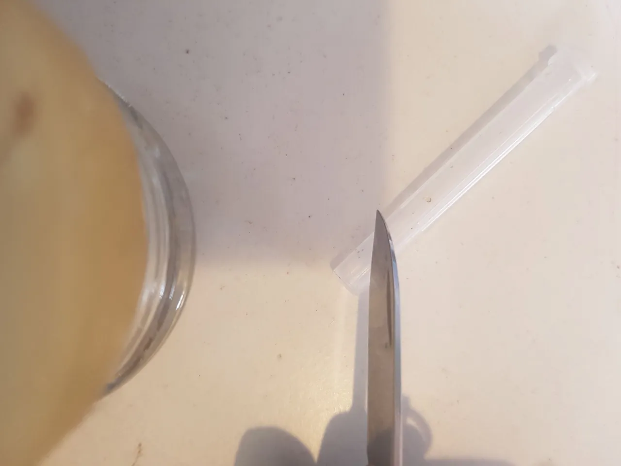 20230322_134604.jpg