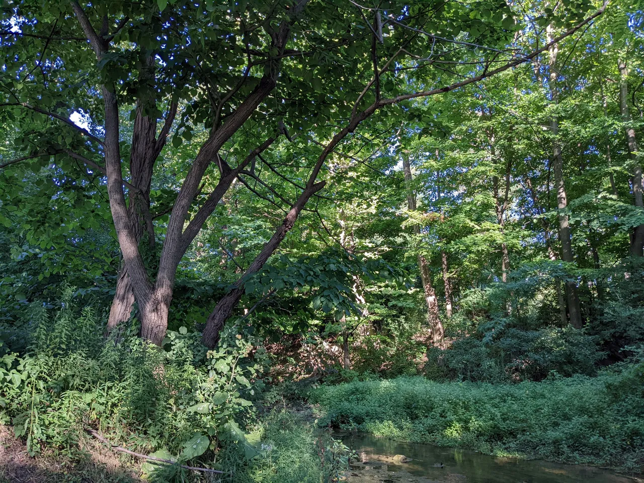 PXL_20220813_214146387.jpg