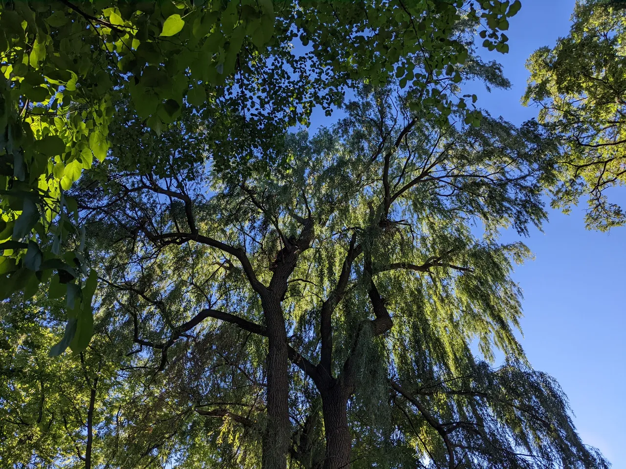 PXL_20220813_214812496.jpg