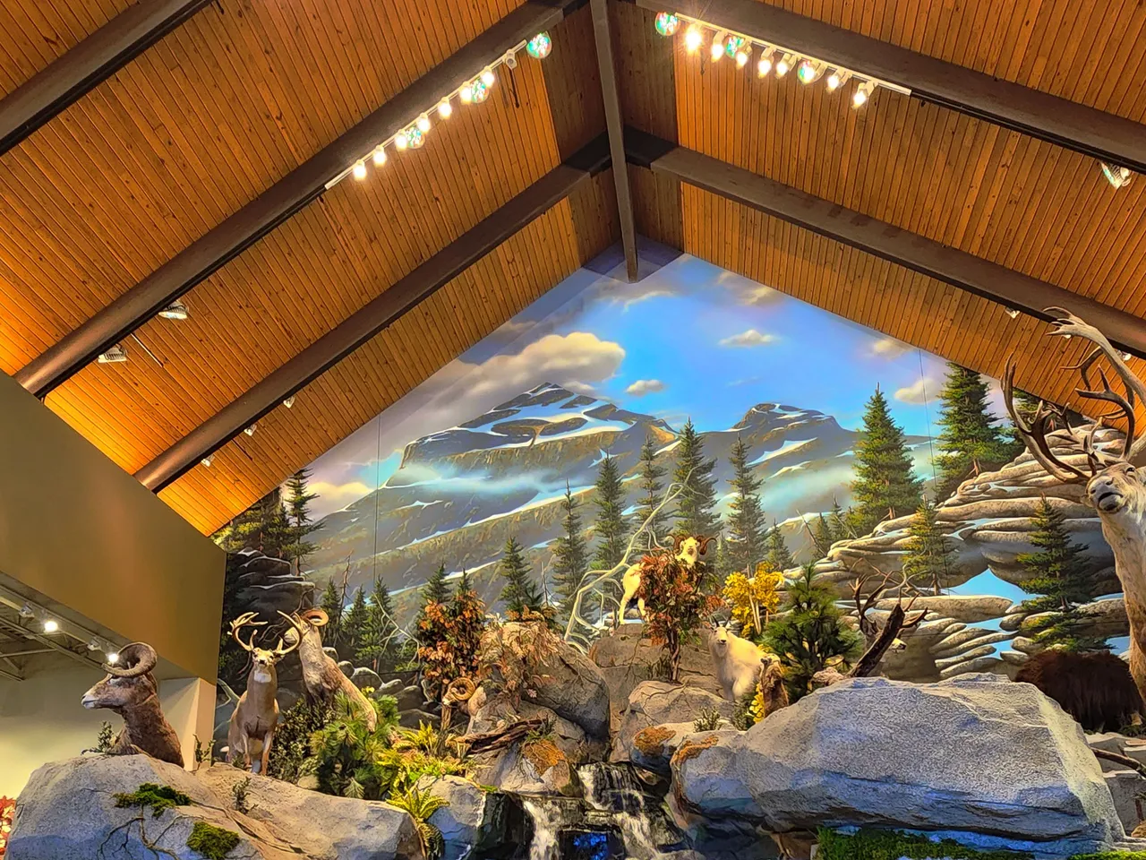 #9 20230726_143639.jpg