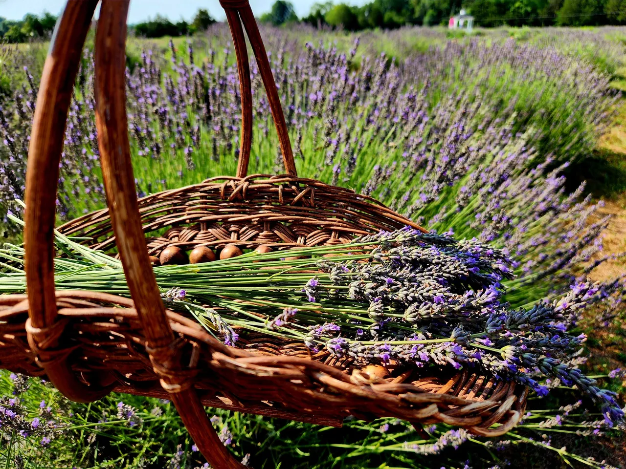 signal-2023-07-13-21-49-43-102 (2).jpg