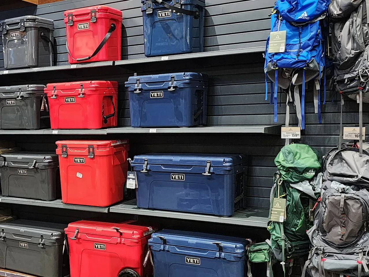 #10 20230726_150936.jpg