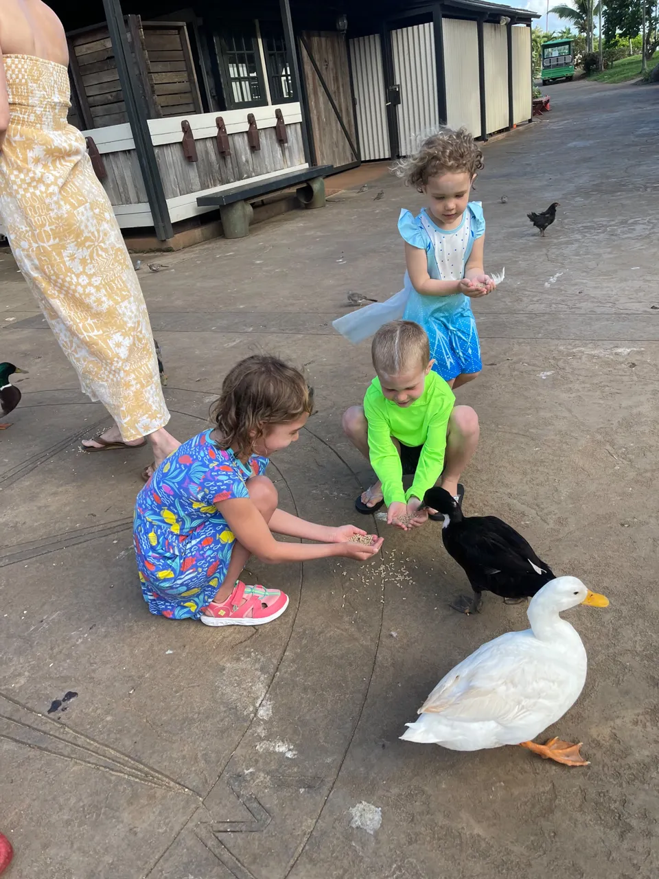 IMG_1224.jpeg