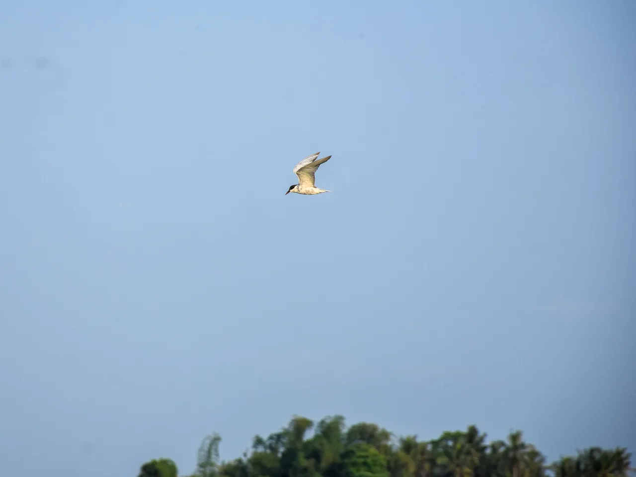 DSC_6726.jpg