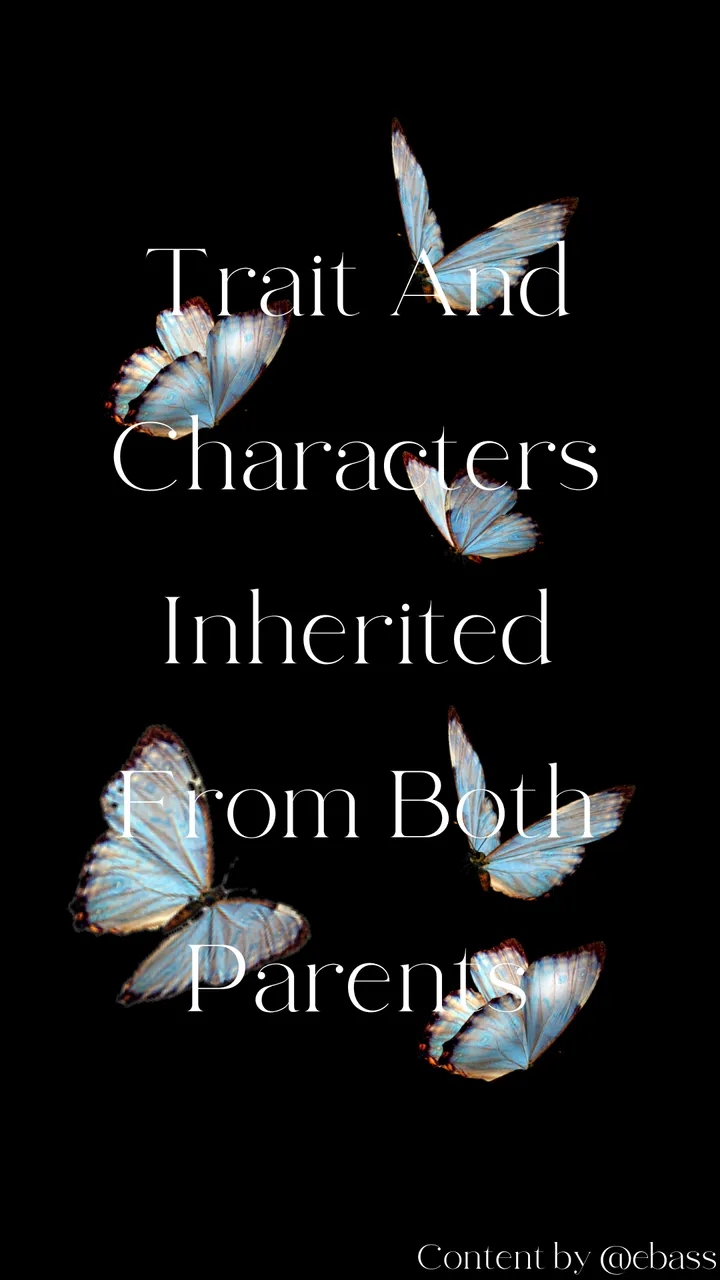 Black Delicate Phrase Phone Wallpaper.png