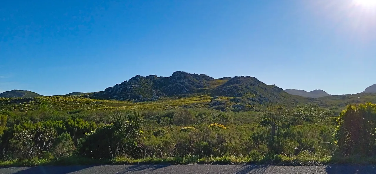 Driving the mountain (1 of 1).jpg