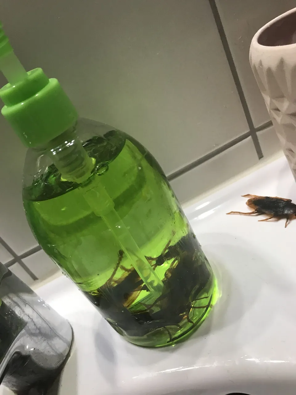 I was looking for some green soap, and I found it. I had some fake cockroach in the soap too. BUT, this soap was awful and it went in the trash right after the party. Never buying bad soap again.