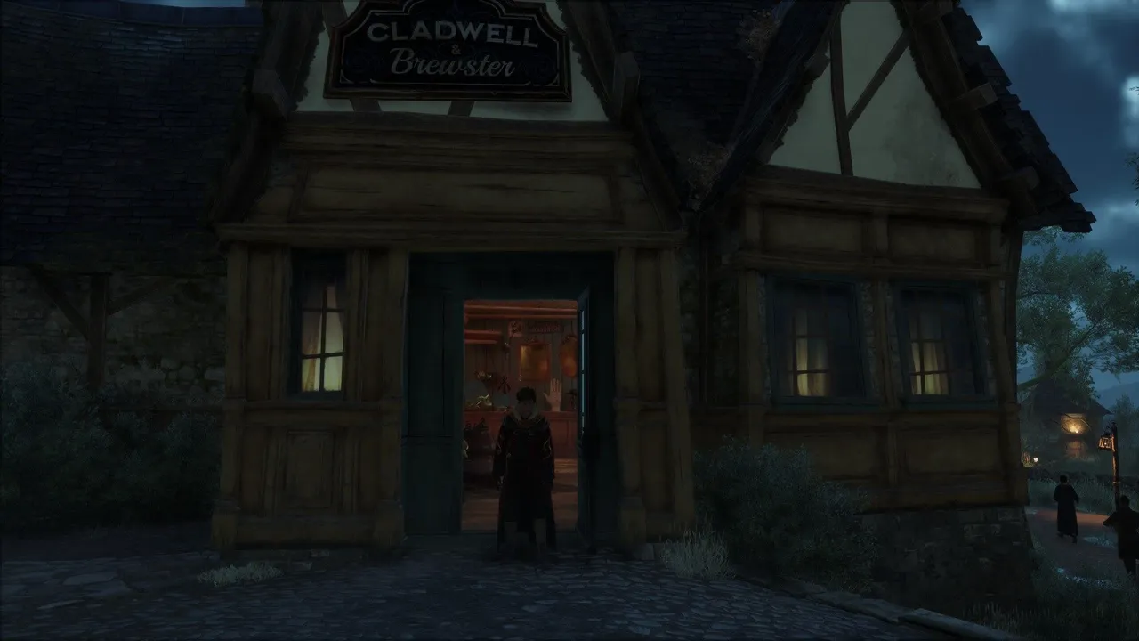 the shop.jpg