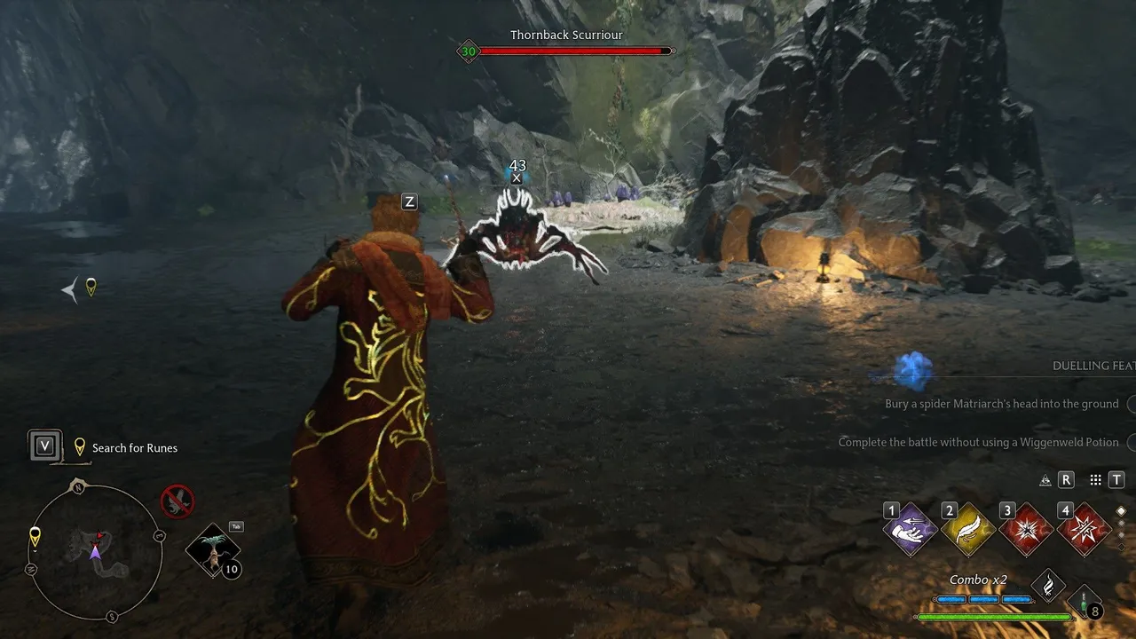 spider.jpg