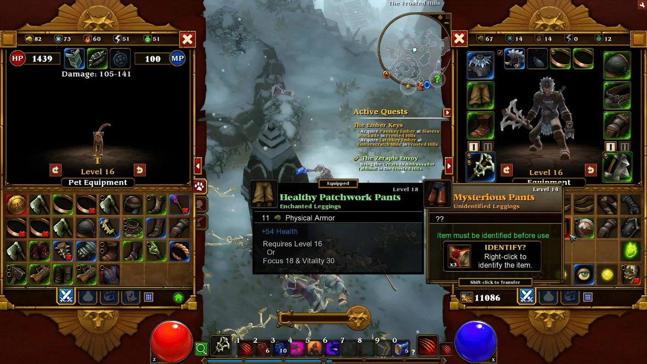 loading my cat up with junk items to sell Torchlight II.jpg