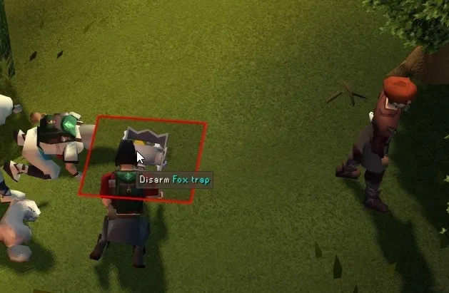 poacher fox trap.jpg