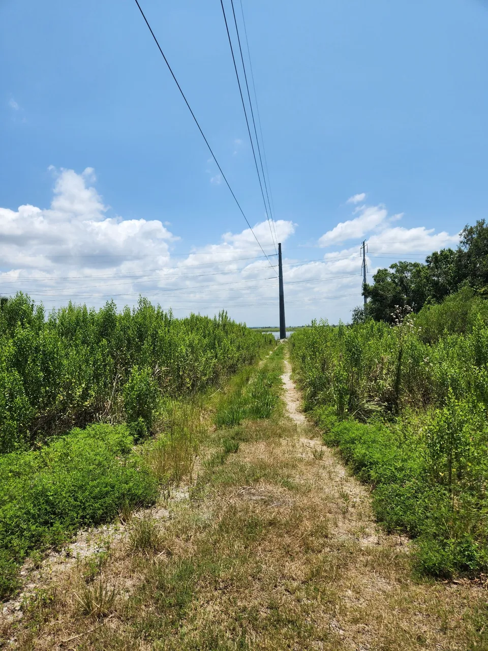 rather a suspect trail to the water.jpg