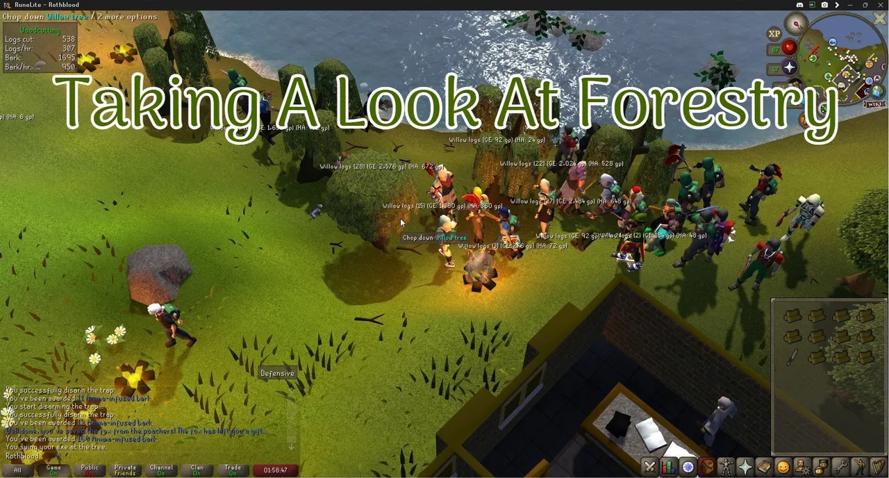 Taking A Look At Forestry.jpg