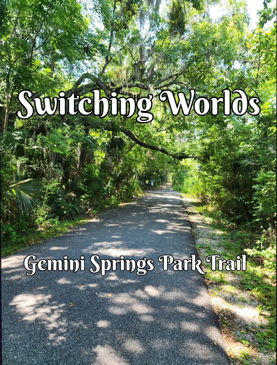 Gemini Springs Park trail.jpg