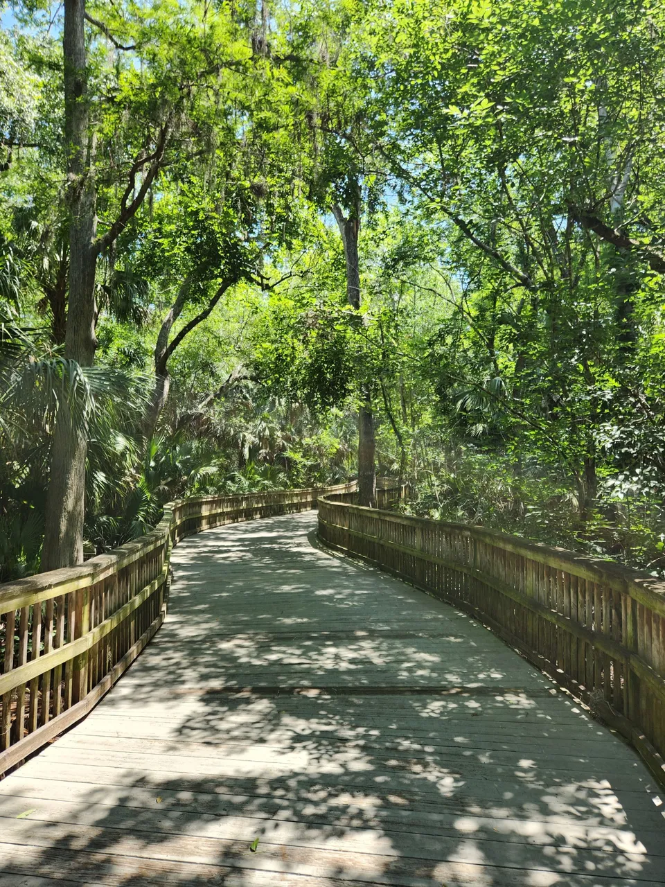 wooden bridge.jpg