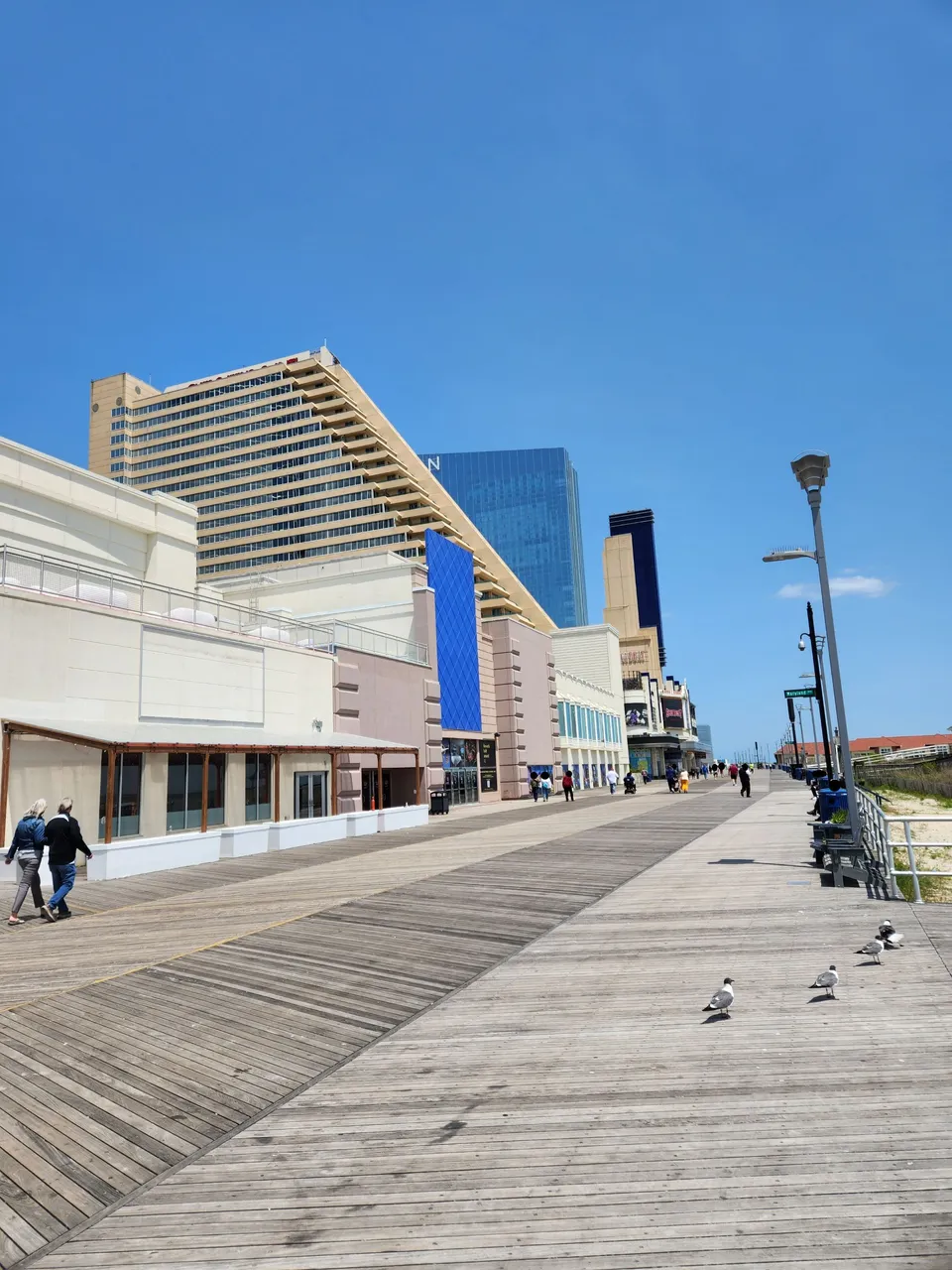 along the boardwalk.jpg