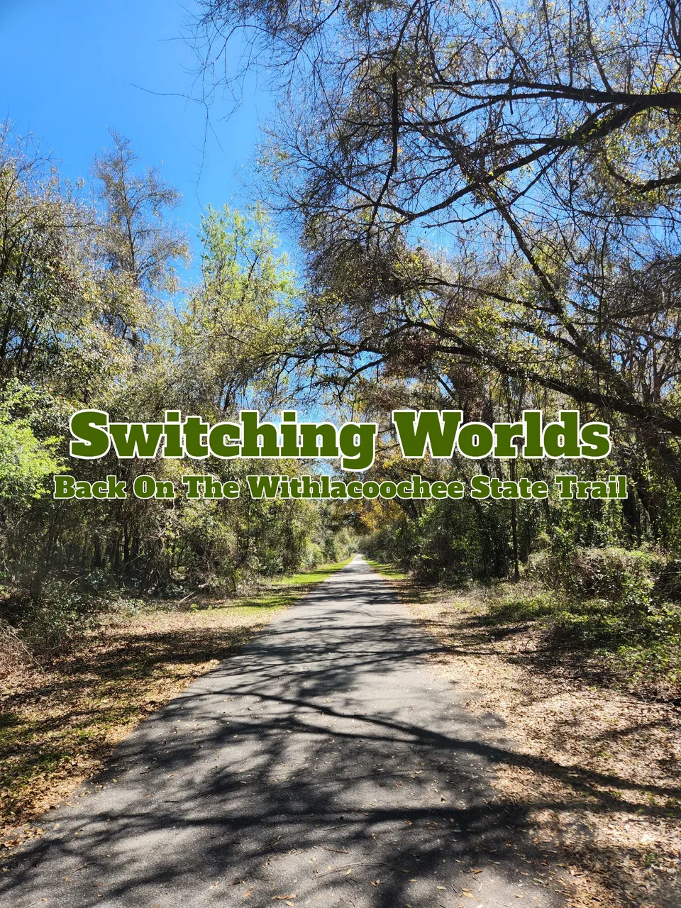 Back On The Withlacoochee State Trail.jpg