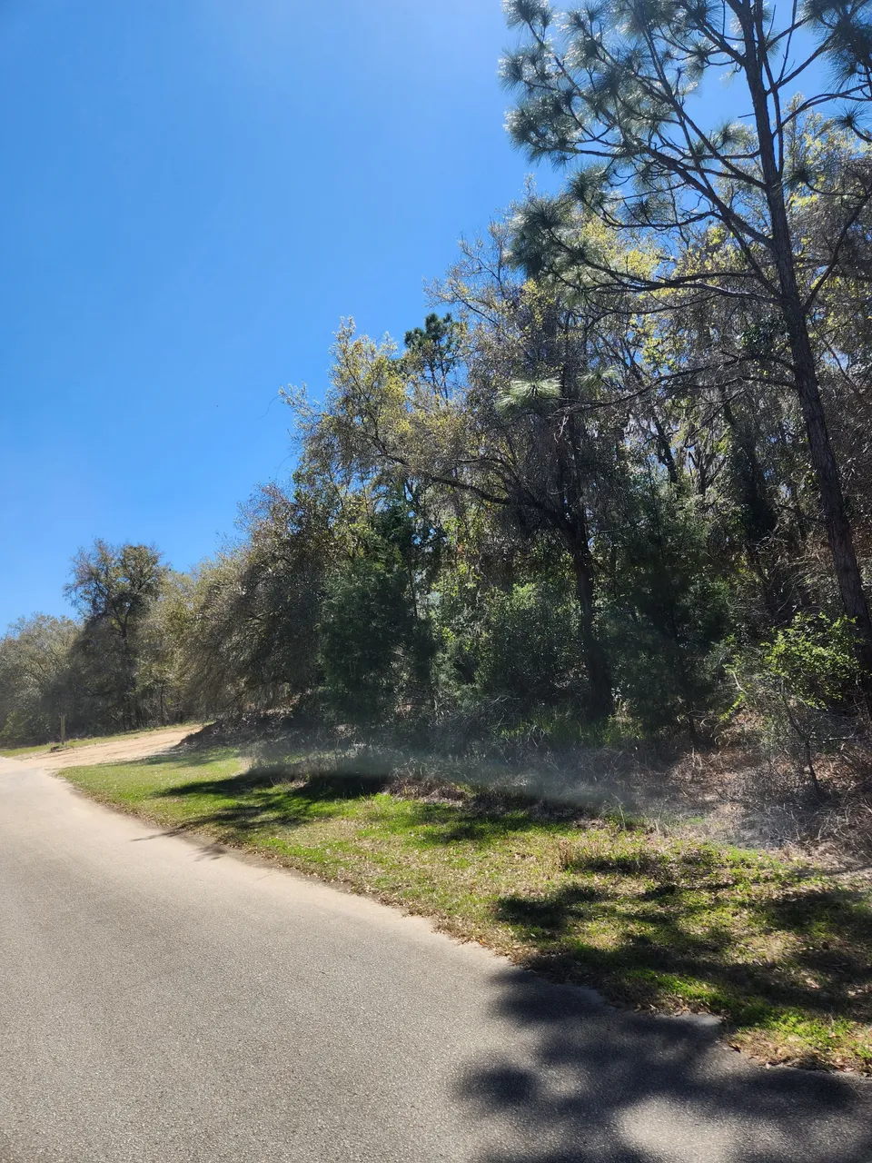 the dirt path.jpg