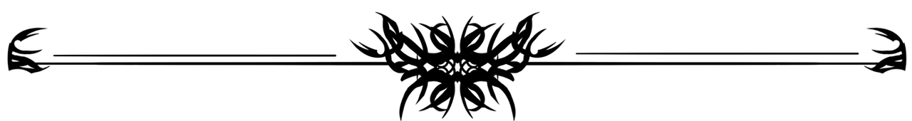 rsz_—pngtree—beautiful_black_dividing_line_4748375.png