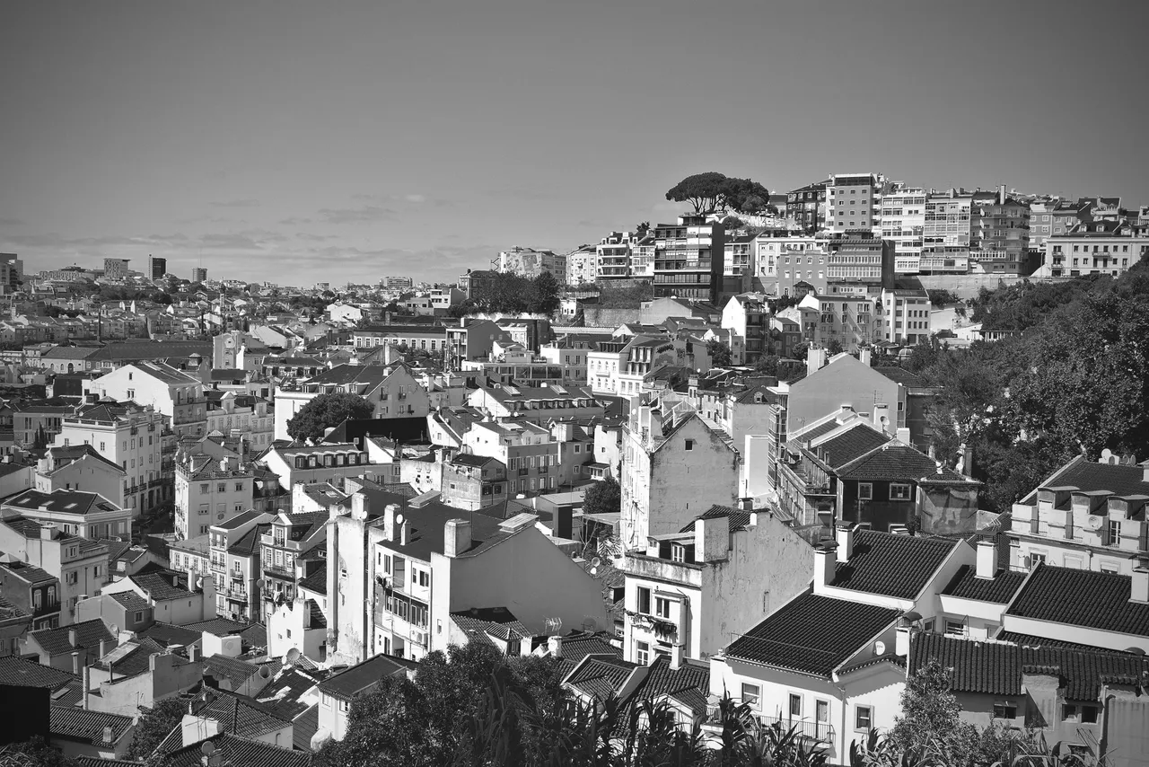 lisbon roofs bw 6.jpg