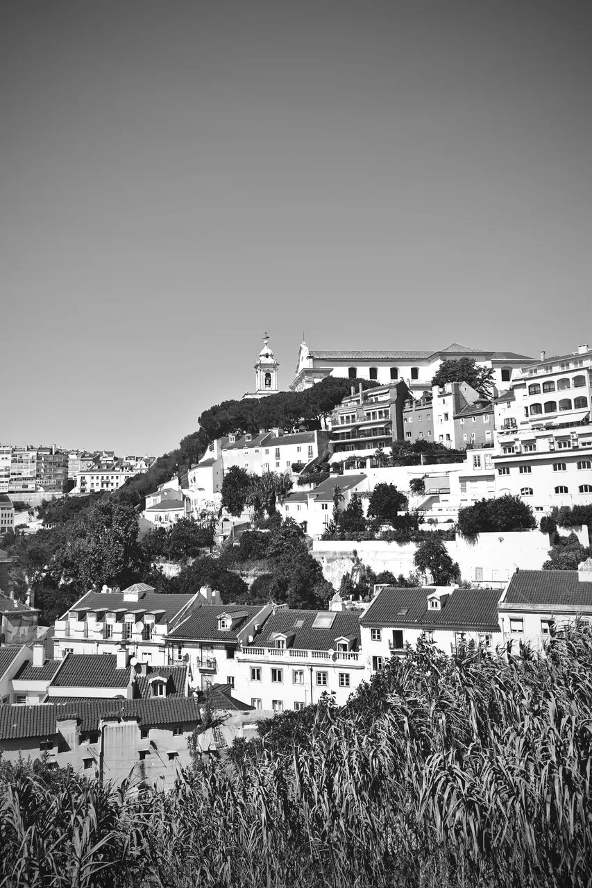 lisbon roofs bw 5.jpg