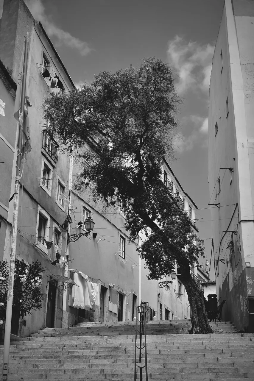 Lisbon bw 7.jpg