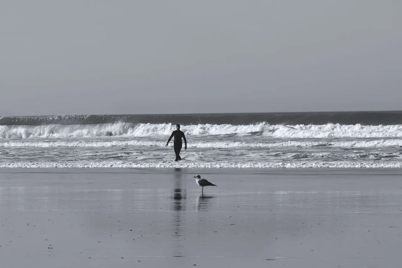 surfers beach bw 5.jpg