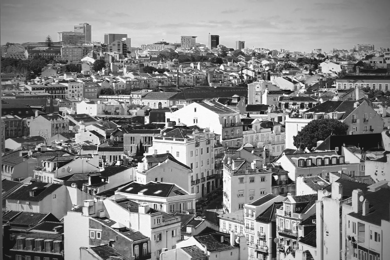 lisbon roofs bw 4.jpg