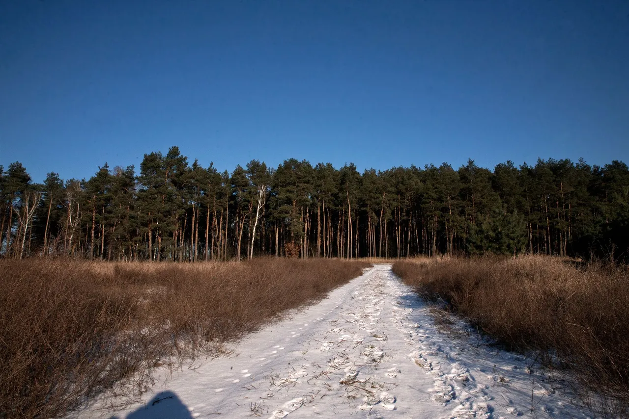 Glinianki winter walk 1.jpg