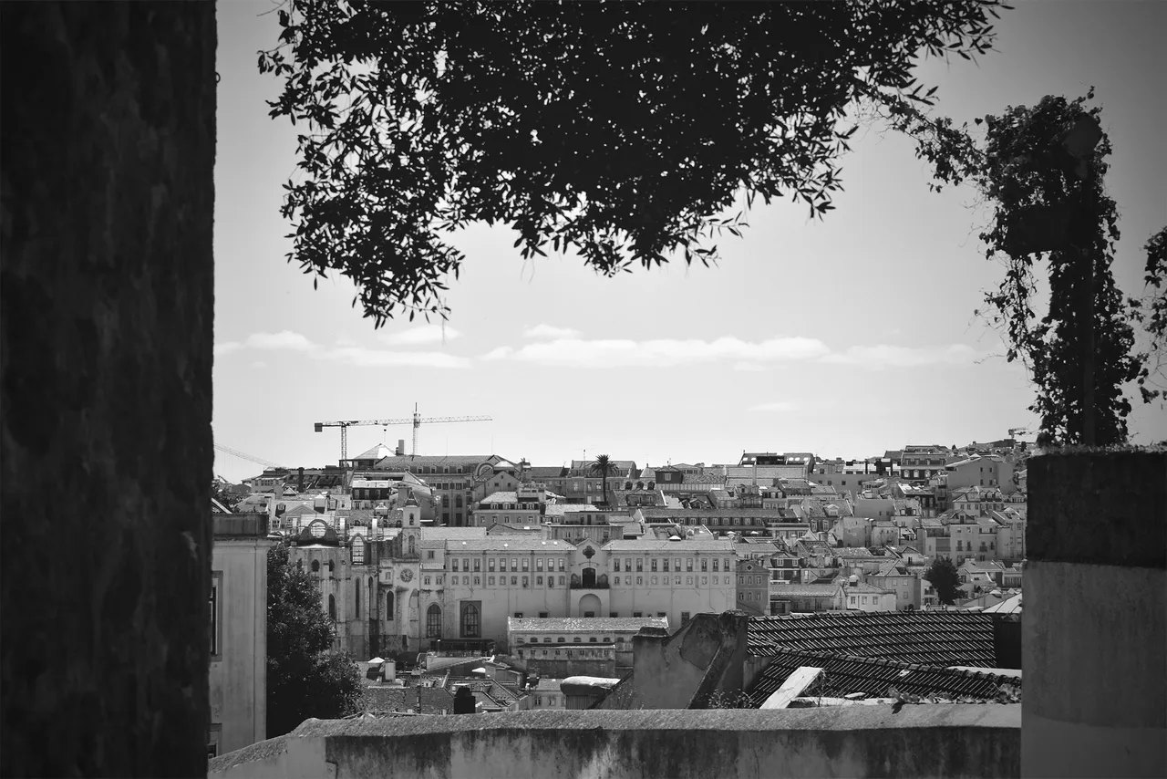 lisbon roofs bw 1.jpg