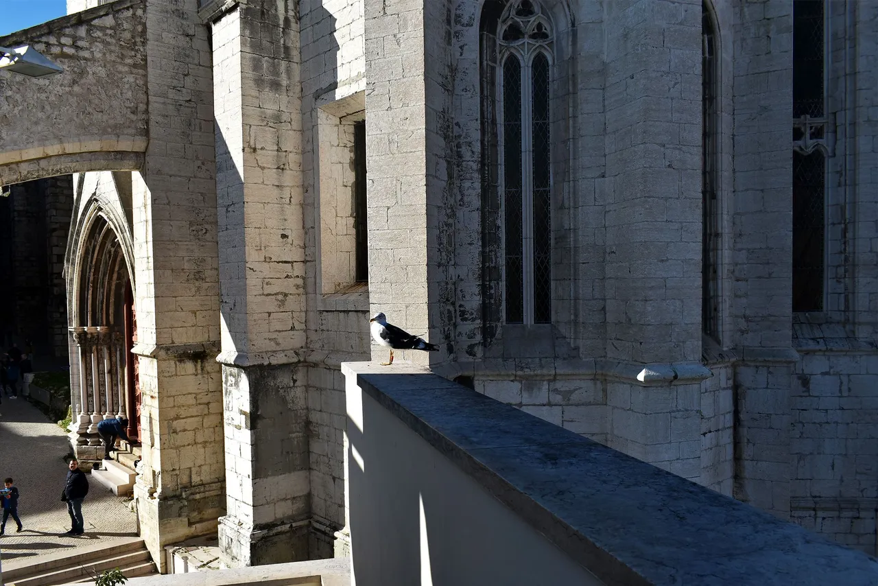 Lisbon elevator view 9.jpg