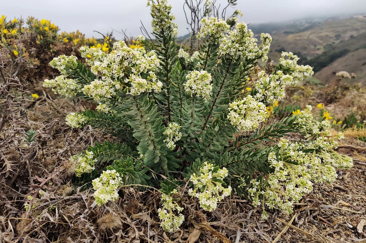 Cabo da Roca 2023 18.jpg