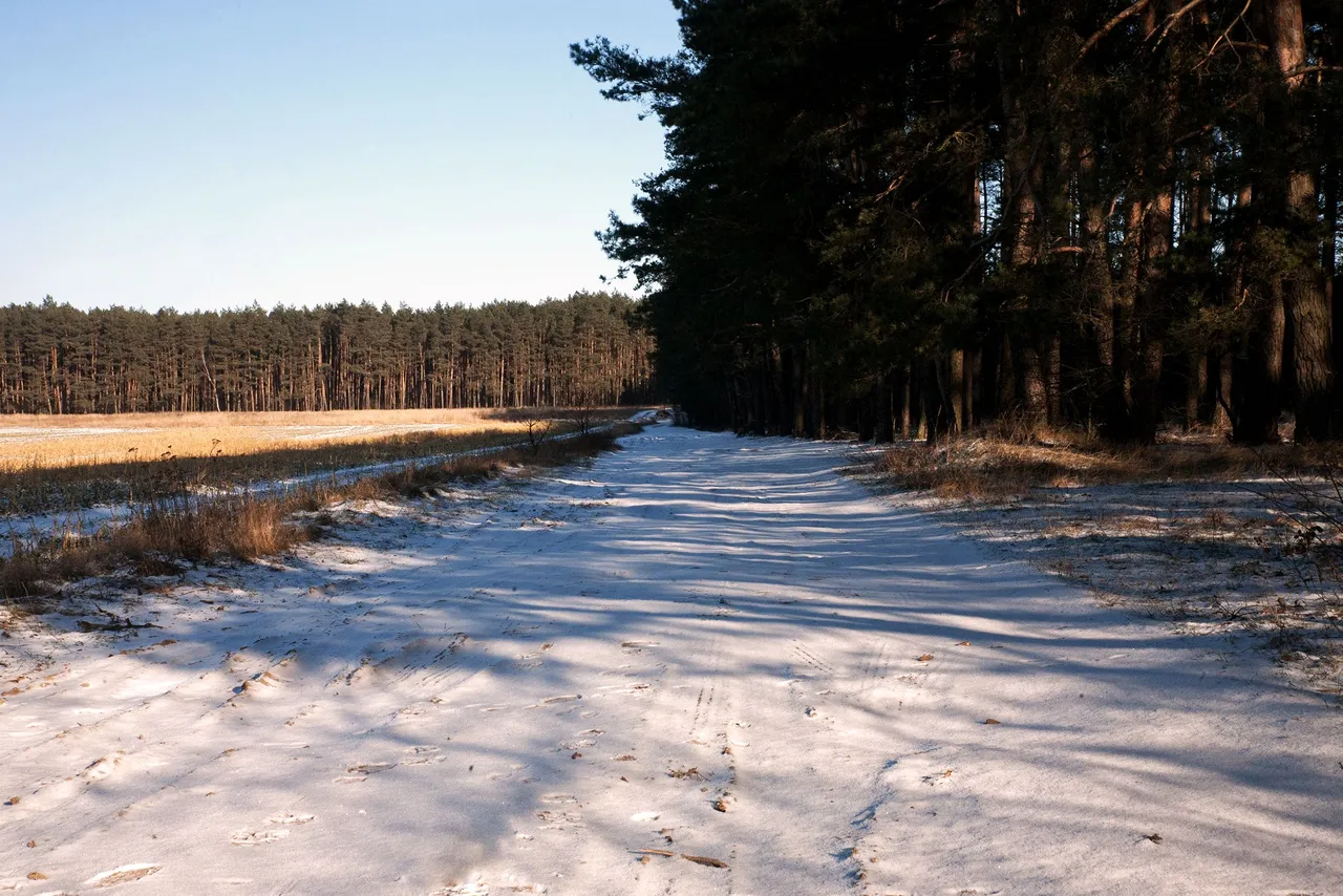 Glinianki winter walk 2.jpg