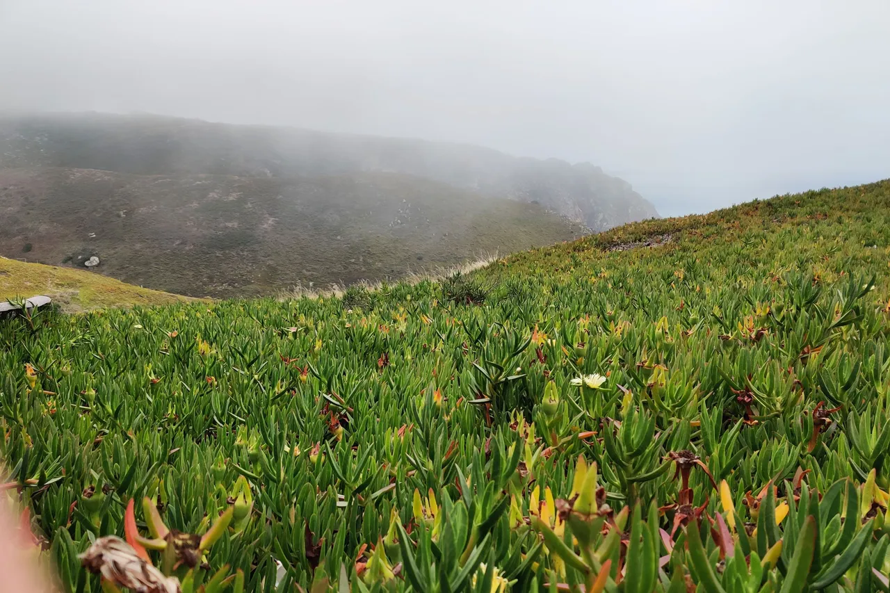 Cabo da Roca 2023 27.jpg