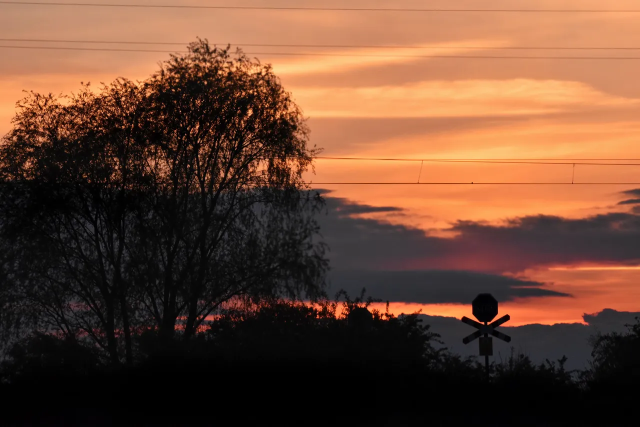 sunset pl puddles 12.jpg