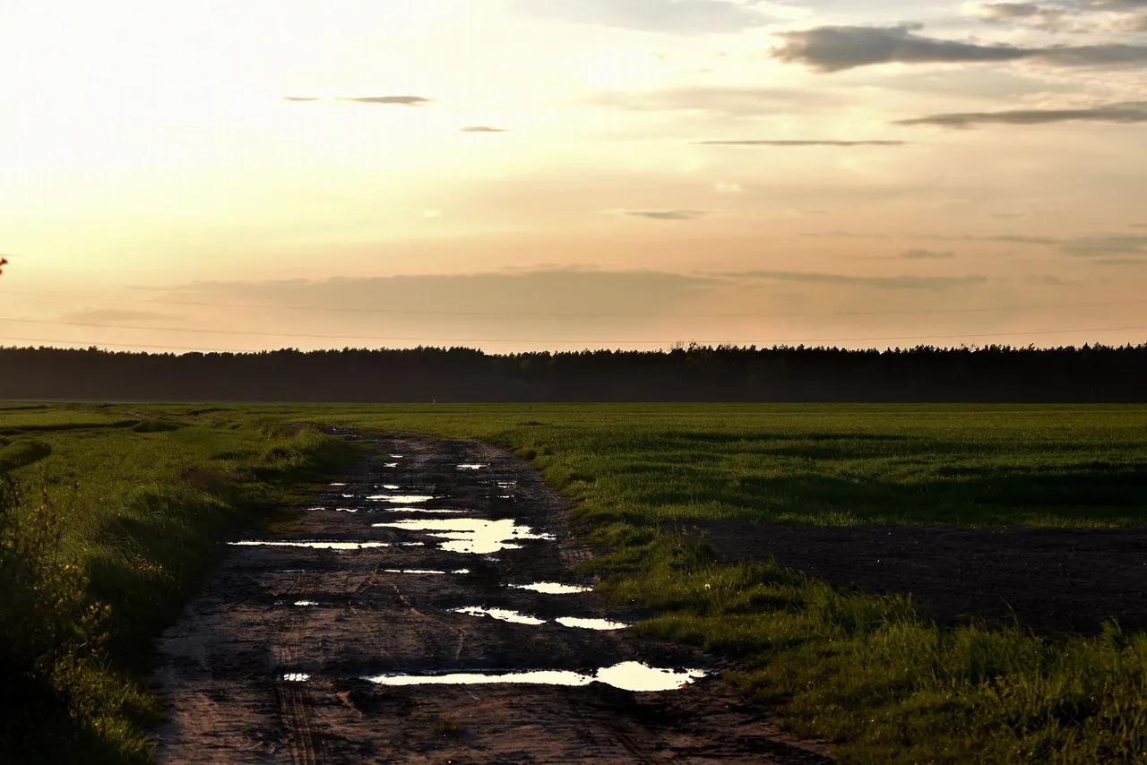 sunset pl puddles 2.jpg