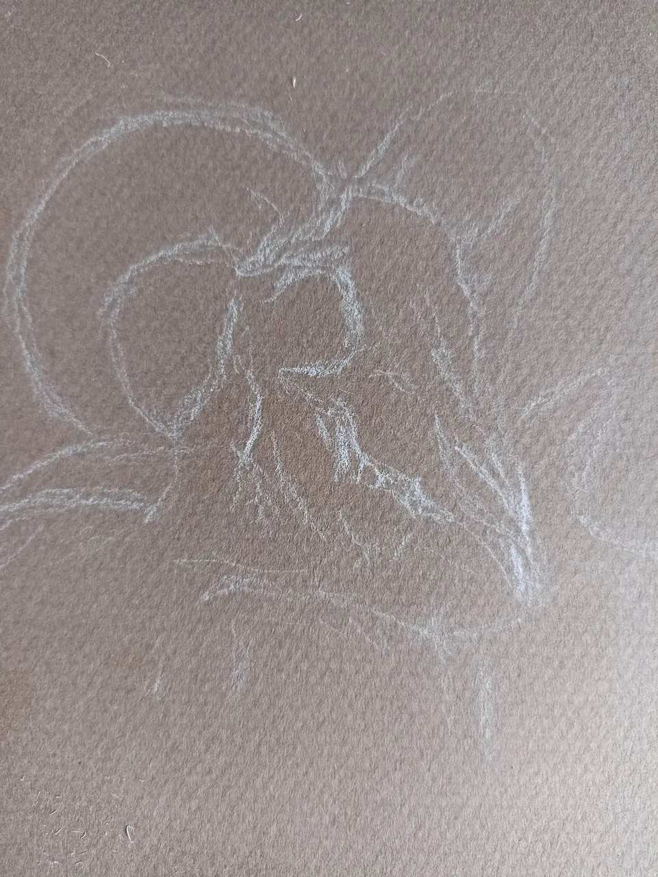 355832972_2250314205155404_5381726733258758569_n.jpg