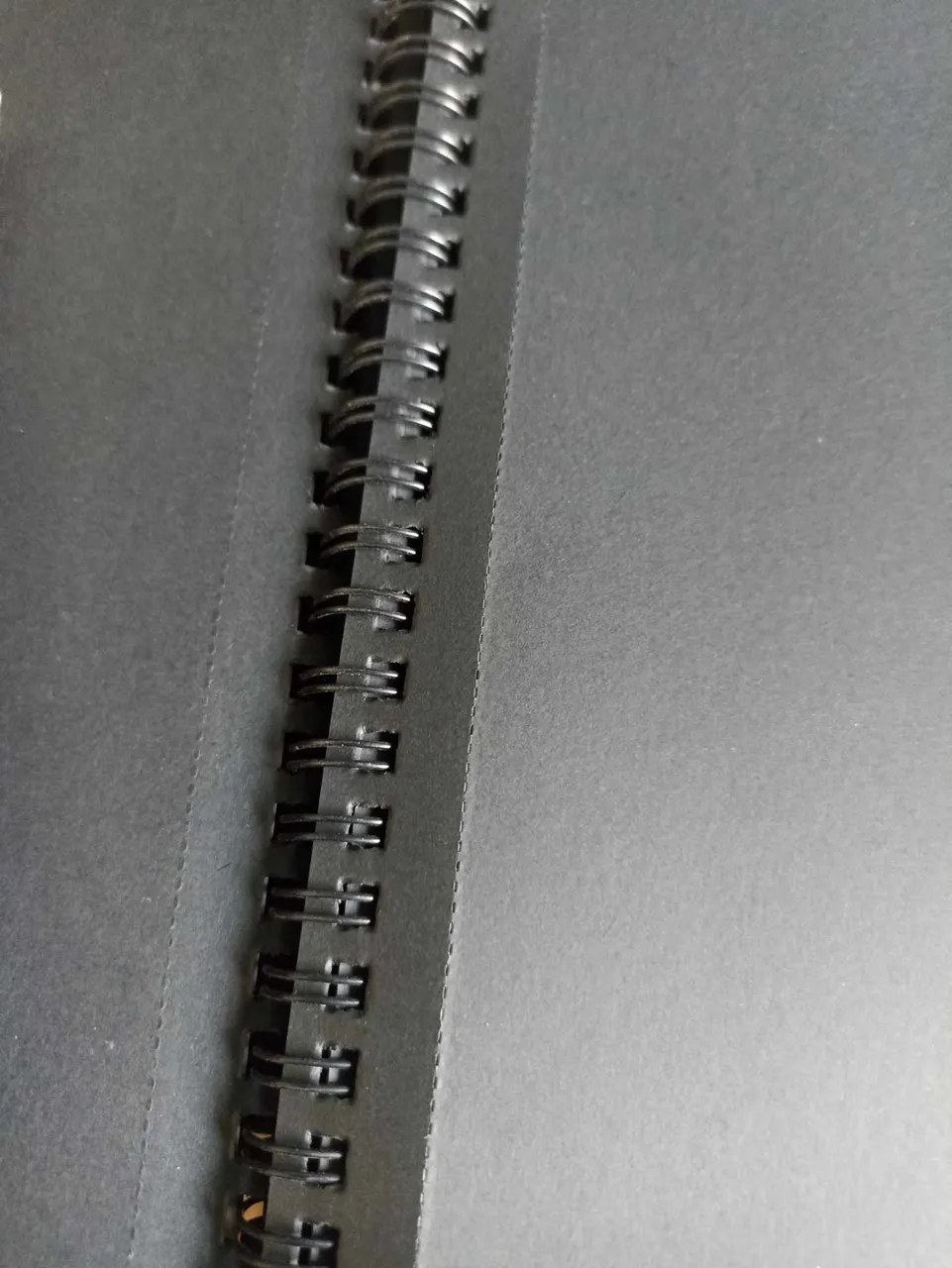 482155713_2548966791960467_6657350809272114870_n.jpg