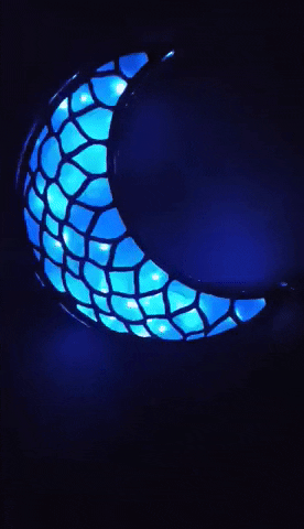 giphy.gif