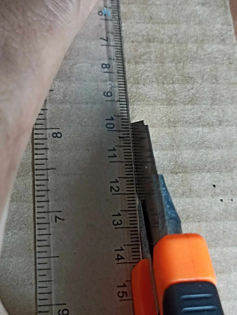 482032778_442022232254316_5354780093970043213_n.jpg