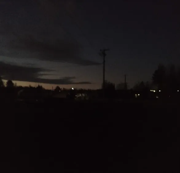 morning_walk_20241110a.png