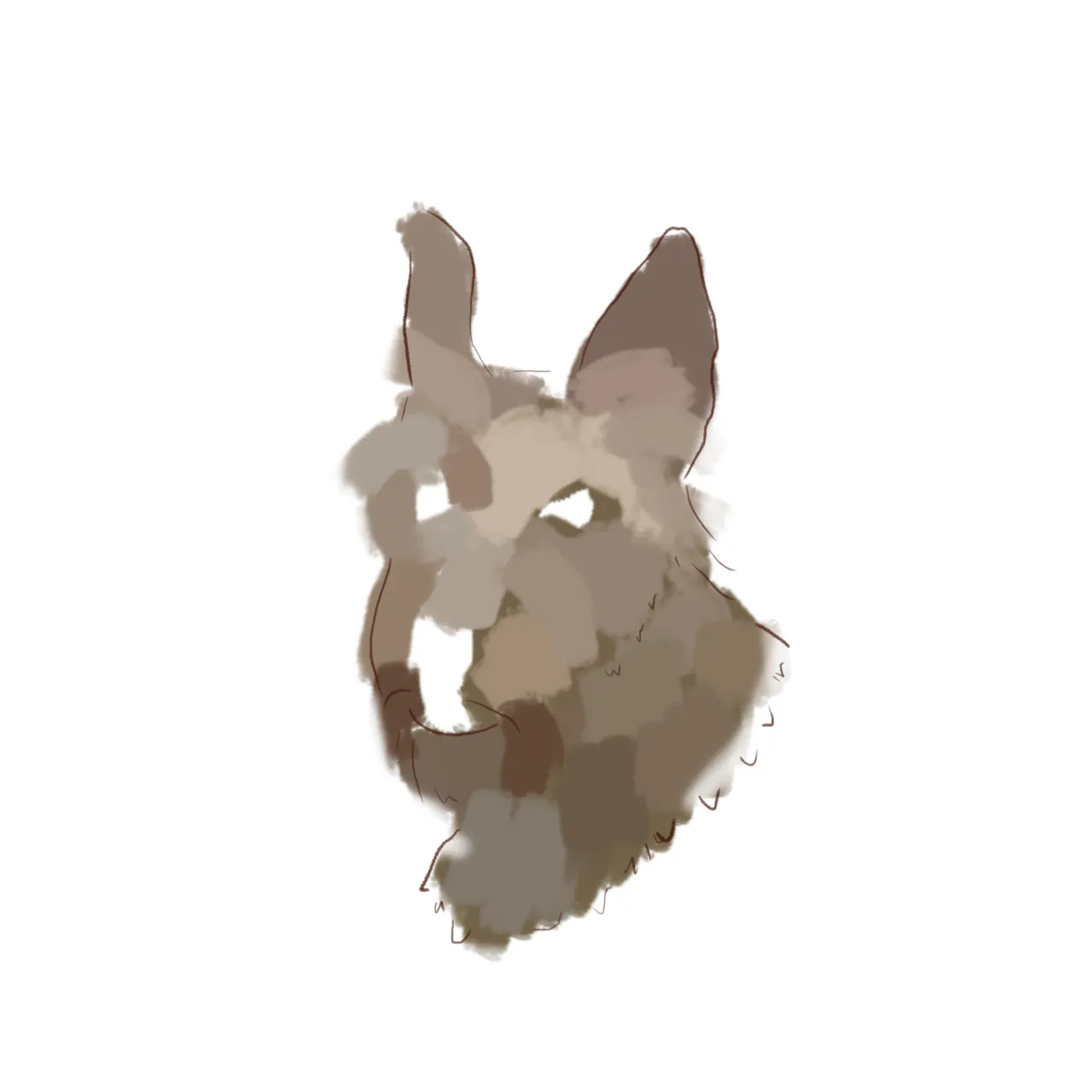 ALI 2.png