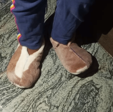 cb6939ae-ad72-413f-9fd3-fe5e5b361bd3.gif