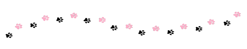 huellas rosas y negras.png