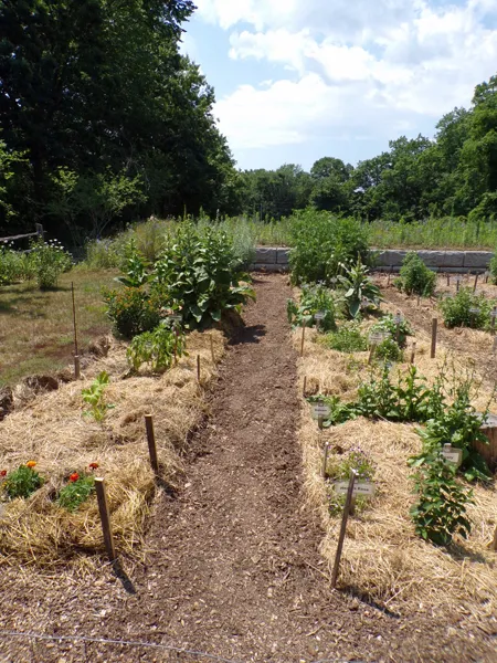 New Herb  first walkway done crop July 2020.jpg