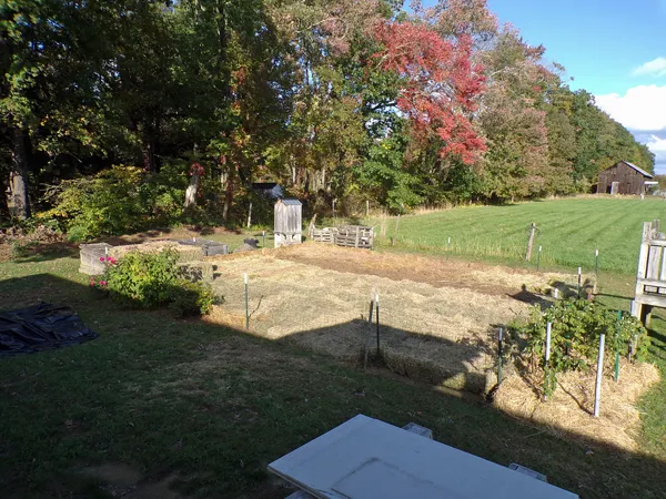 Small garden  mostly mulched2 crop Oct. 2020.jpg