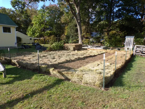 Small garden  mostly mulched1 crop Oct. 2020.jpg