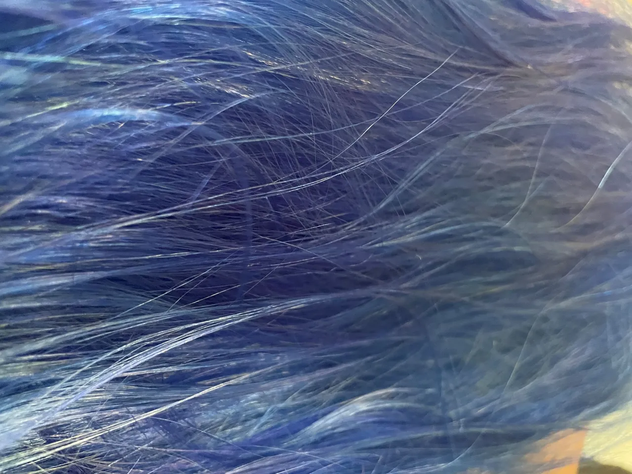 hair 12.jpg
