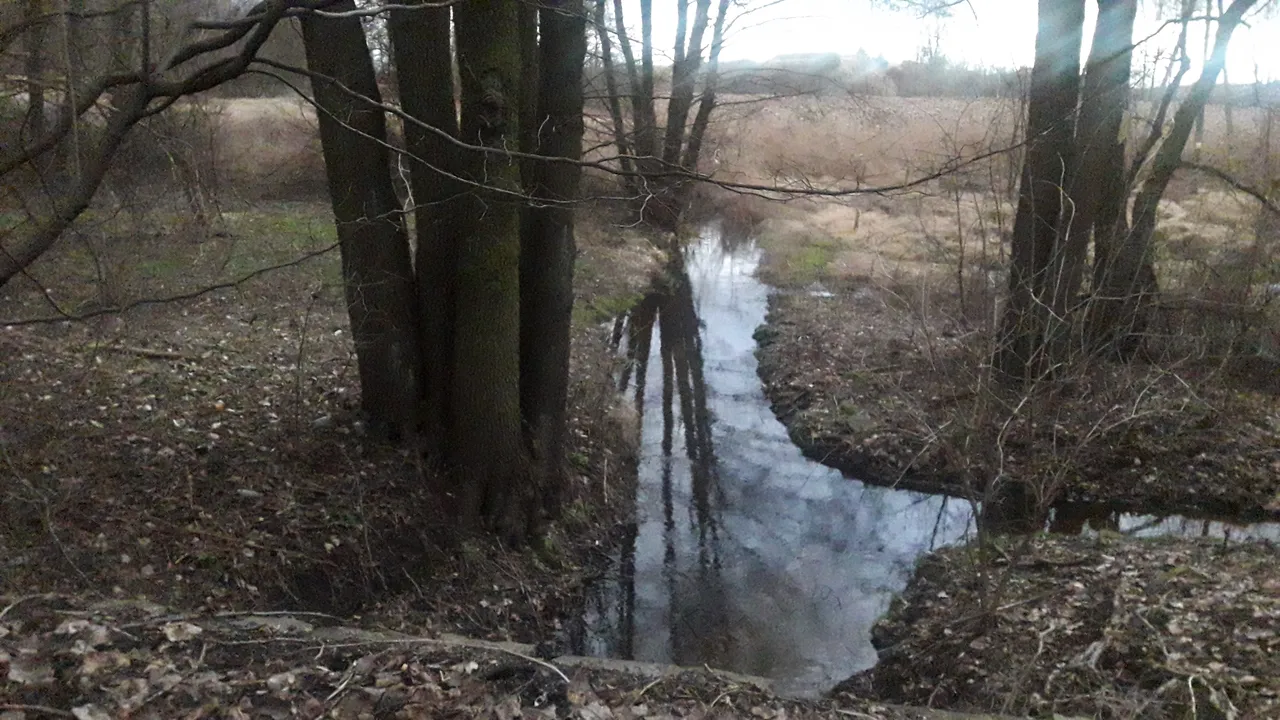 20220205_124132.jpg